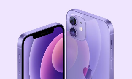 荔波苹果手机维修分享紫色版iPhone 12有什么技术亮点 